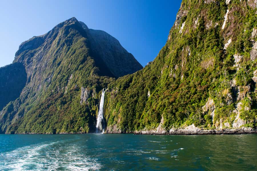 From Queenstown Milford Sound Cruise & Glass-Roof Coach Tour - Homer Tunnel and Monkey Creek: the two stops that add personality