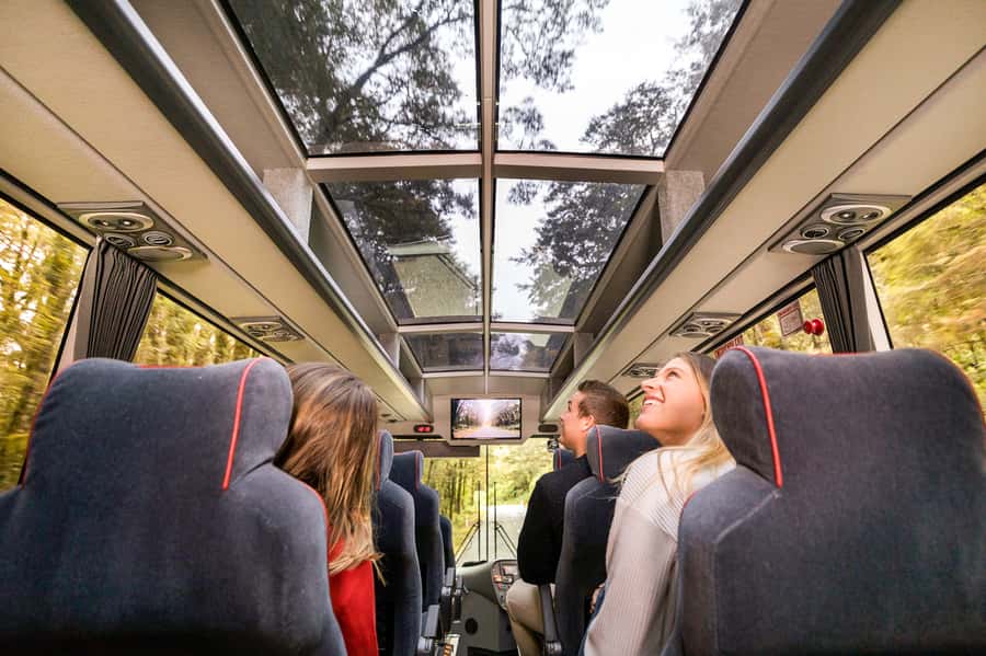 From Queenstown: Milford Sound Day Trip on Premium Coach - Key highlights I’d plan around