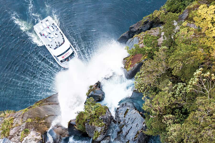 From Queenstown: Milford Sound Day Trip on Premium Coach - Photo stops that are short on time, but great for framing shots