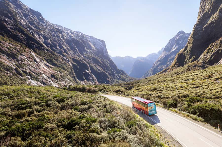 From Queenstown: Milford Sound Day Trip on Premium Coach - Food options: tea and coffee are included, lunch depends on what you choose