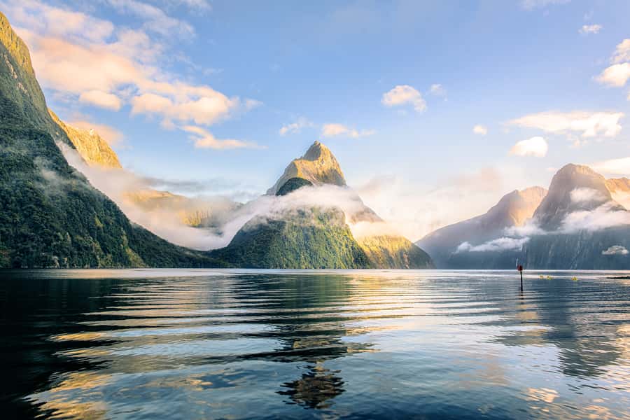 From Queenstown: Milford Sound Premium Day Tour and Cruise - Key highlights you will actually care about