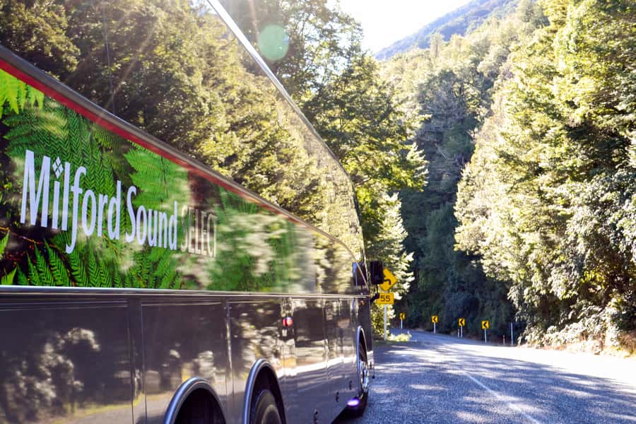 From Queenstown: Milford Sound Premium Day Tour and Cruise - Getting on the cruise boat: reserved window seats and two ways to watch