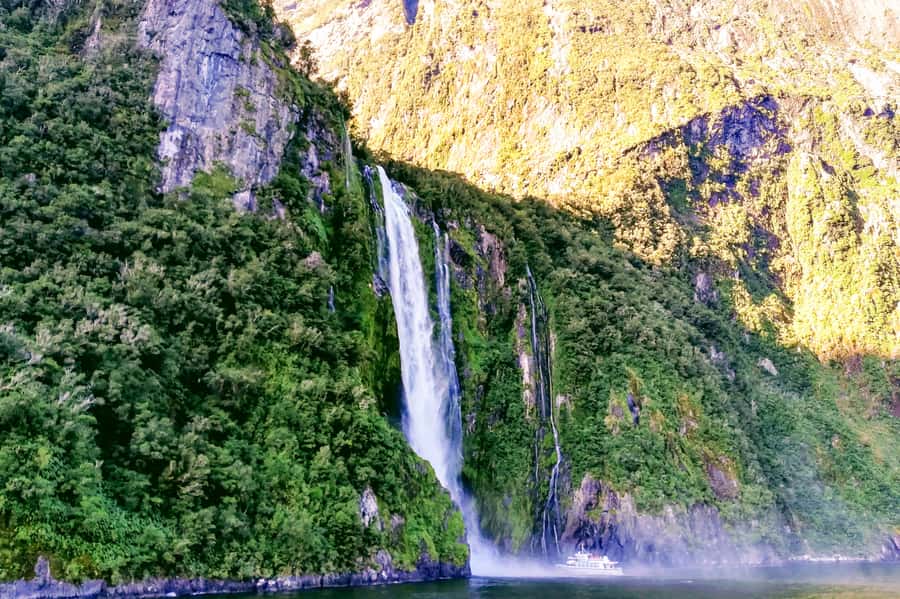 From Queenstown: Milford Sound Premium Day Tour and Cruise - Milford Sound in the real world: waterfalls, mist, dolphins, and seals