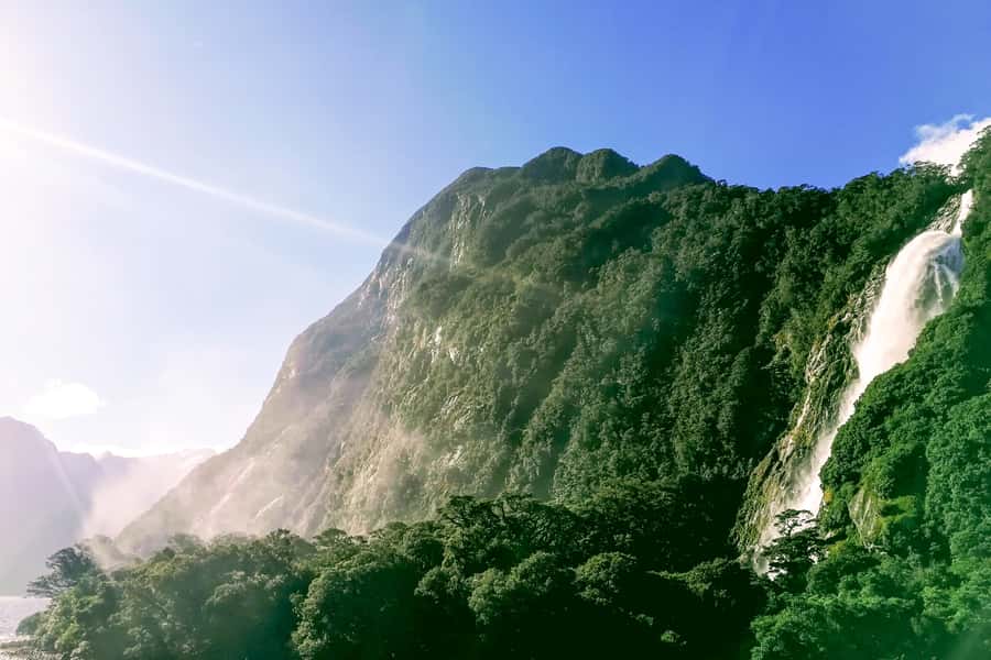 From Queenstown: Milford Sound Premium Day Tour and Cruise - Food and drinks: what’s included, what costs extra, and how to plan