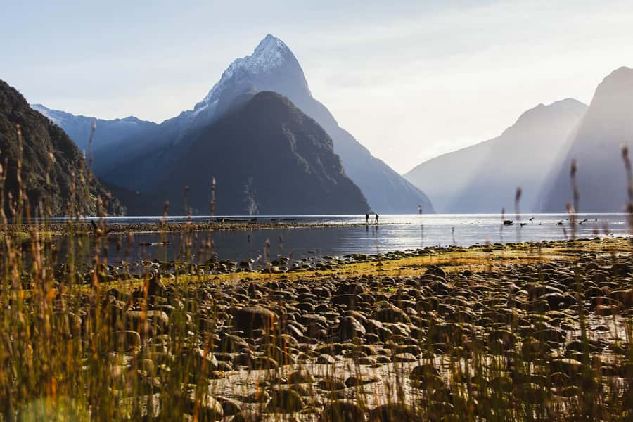 From Queenstown: Milford Sound Scenic Flight & Nature Tour - Foreshore Loop Track and Mitre Peak: boardwalk comfort with big payoff