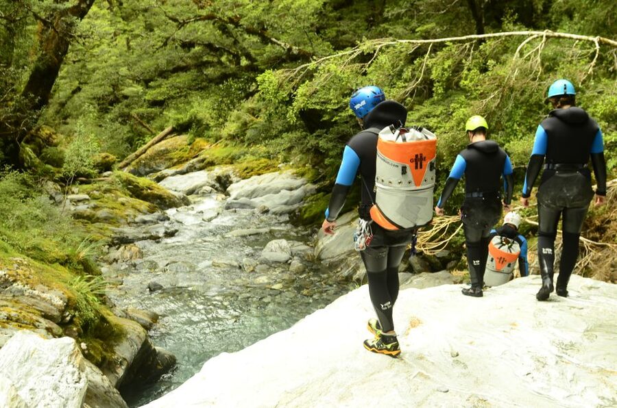 From Queenstown: Mount Aspiring Full-Day Canyoning Adventure - Who this fits best, and who should skip it