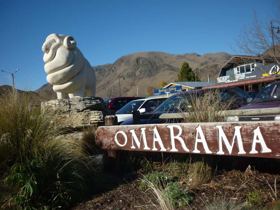 From Queenstown: Mount Cook Heli-Hike and Bus Tour Combo - What you’re really paying for: value of the $723 price