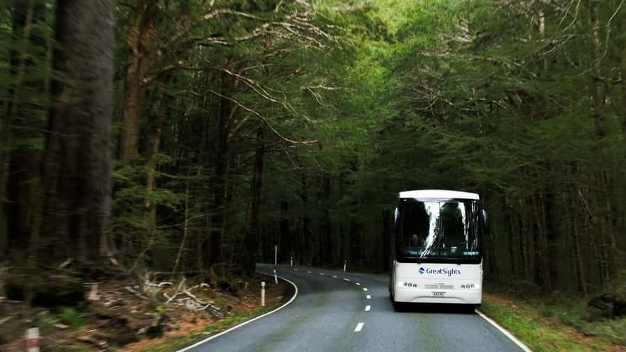 From Queenstown: Scenic One-Way Tour to Franz Josef - Why the Driver Commentary Makes the Haast Pass Feel Worth It
