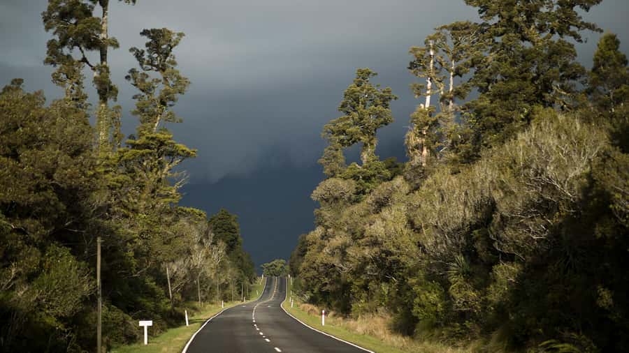 From Queenstown: Scenic One-Way Tour to Franz Josef - Haast Pass Through Beech Forest and the Southern Alps