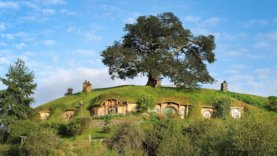 From Rotorua: Hobbiton Movie Set Tour with Festive Lunch - Weather, umbrellas, and packing like a smart Shire visitor