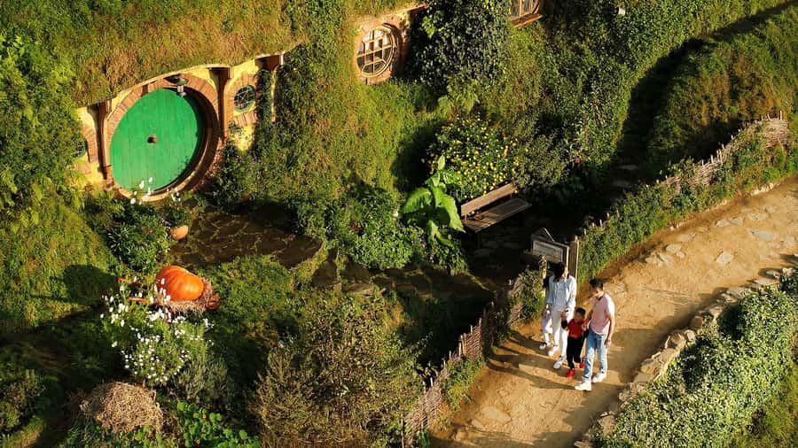 From Rotorua: Hobbiton Movie Set Tour with Festive Lunch - The coach ride: Mamaku Ranges, Fitzgerald Glade, and real New Zealand scenery