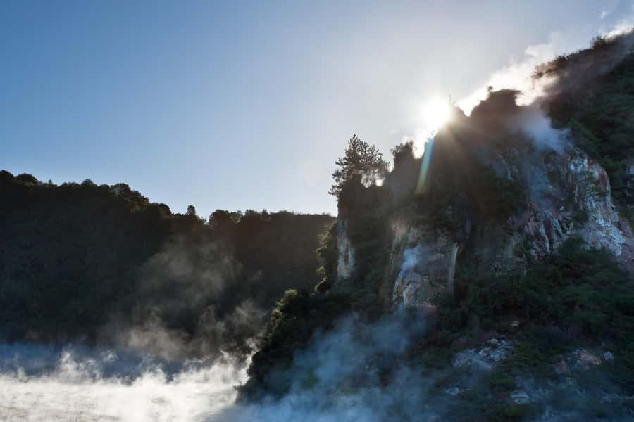 From Rotorua: Wai-O-Tapu, Waimangu and Te Puia Full-Day Tour - Key Things I’d Plan Around