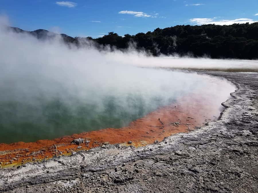 From Rotorua: Wai-O-Tapu, Waimangu and Te Puia Full-Day Tour - Wai-O-Tapu Thermal Wonderland Walk: Color, Mud, and a Real Geyser Logic