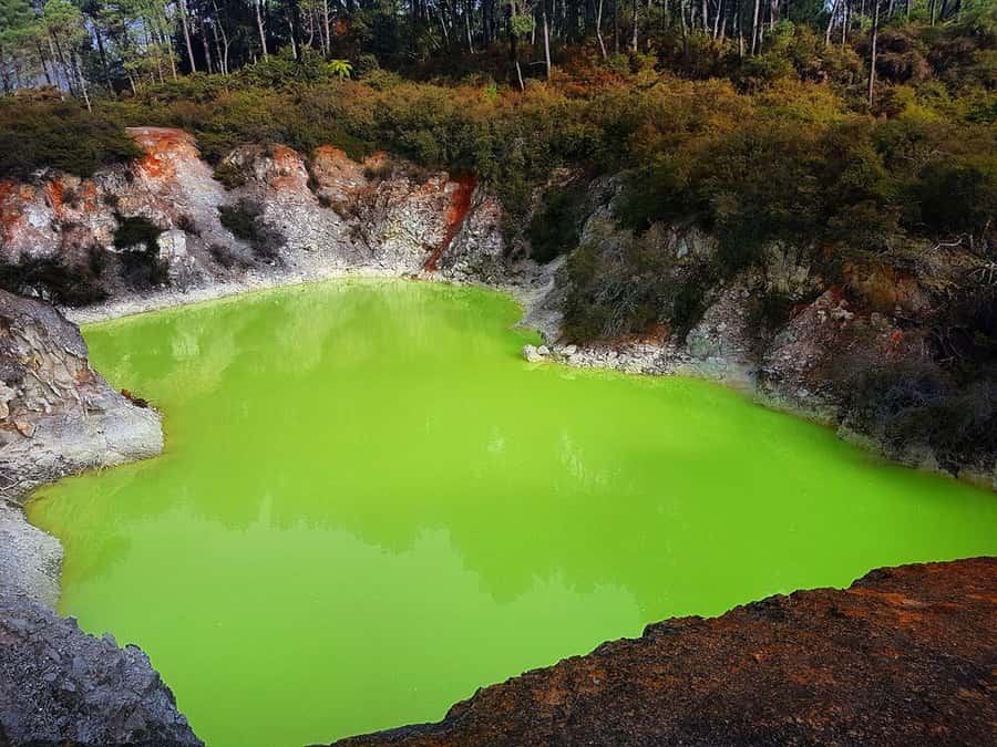 From Rotorua: Wai-O-Tapu, Waimangu and Te Puia Full-Day Tour - Transportation and Live Commentary: The Value You Actually Feel