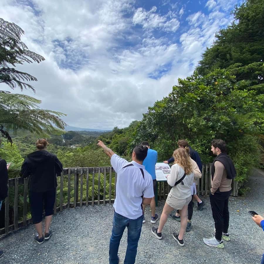 From Rotorua: Wai-O-Tapu, Waimangu and Te Puia Full-Day Tour - Hotel Pickup, Timing, and How the Day Stays on Track