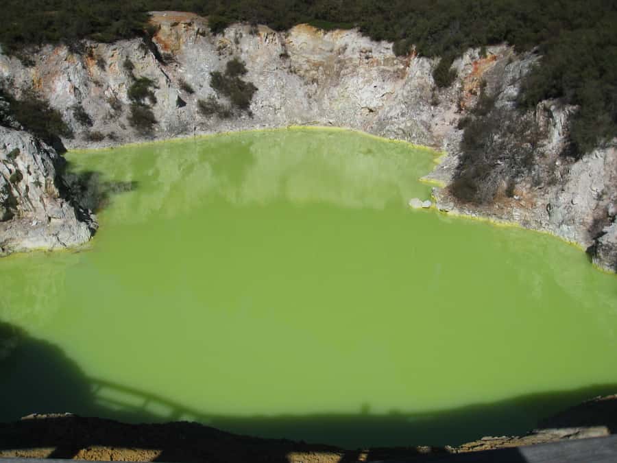 From Rotorua: Wai O Tapu & Waimangu Eco Thermal Morning Tour - Key highlights and why they matter