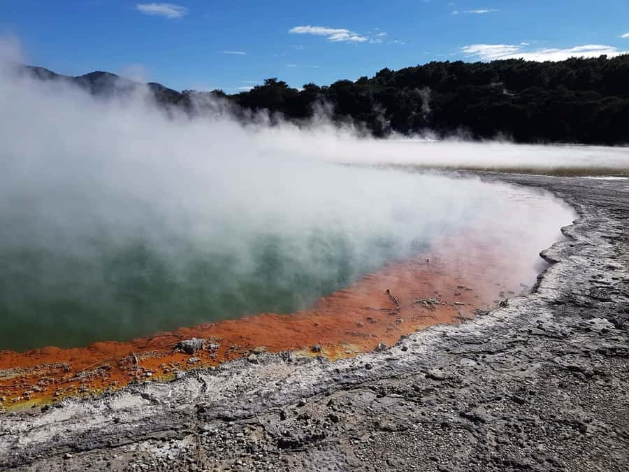 From Rotorua: Wai O Tapu & Waimangu Eco Thermal Morning Tour - Why Wai-O-Tapu and Waimangu Are a Smart 5-Hour Morning in Rotorua