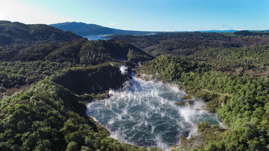 From Rotorua: Wai O Tapu & Waimangu Eco Thermal Morning Tour - Who This Tour Fits, and Who Might Be Happier Elsewhere