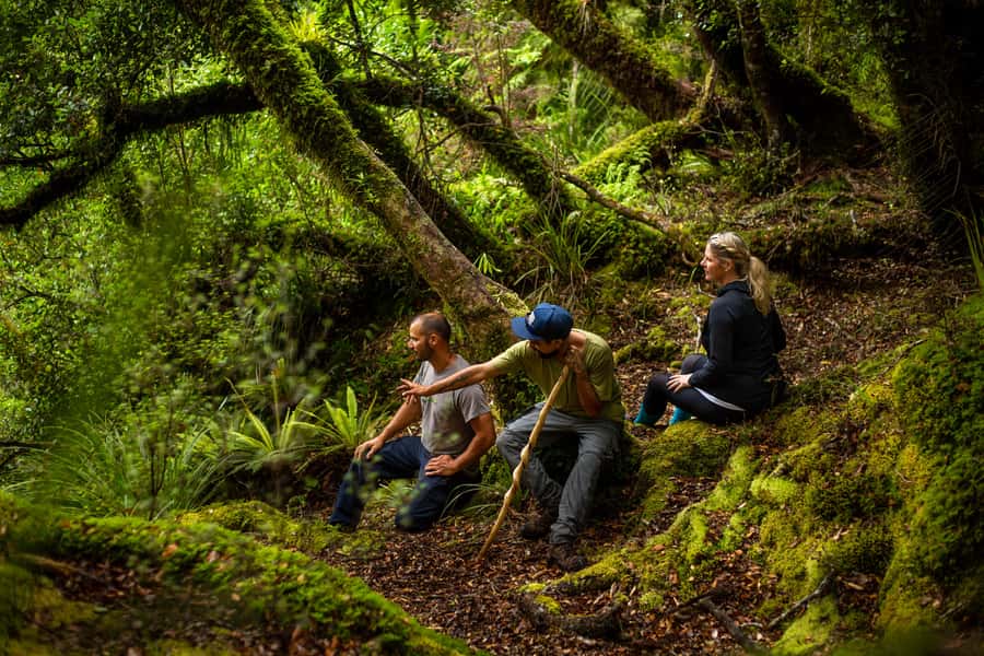 From Rotorua: Whirinaki Rainforest Guided Cultural Tour - Picnic lunch in the forest, then hot Kawakawa tea