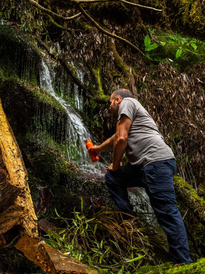 From Rotorua: Whirinaki Rainforest Guided Cultural Tour - Price and value: is $176 per person worth it?