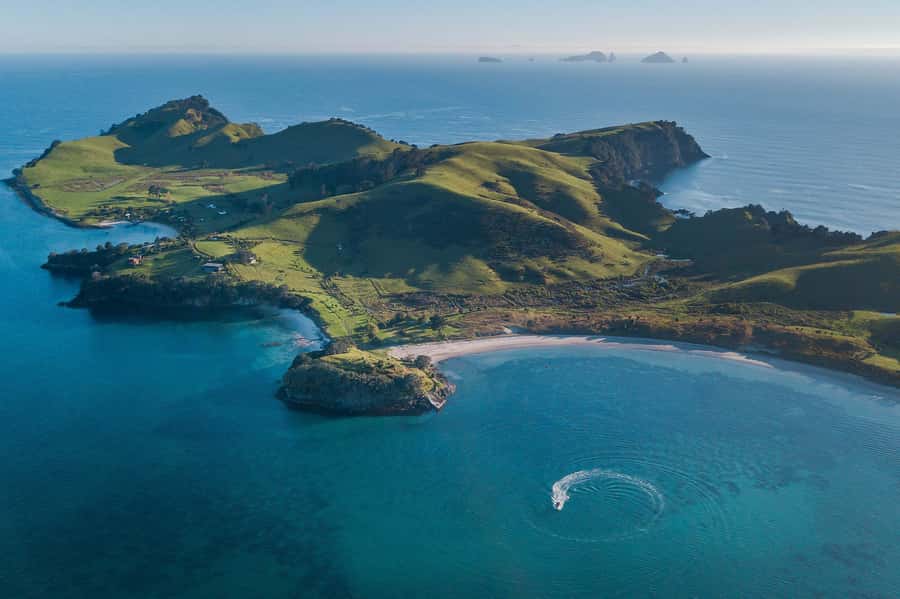 From Tairua: 2 Hour Cathedral Cove Tour with Local Guide - Who should book this tour, and who should skip it