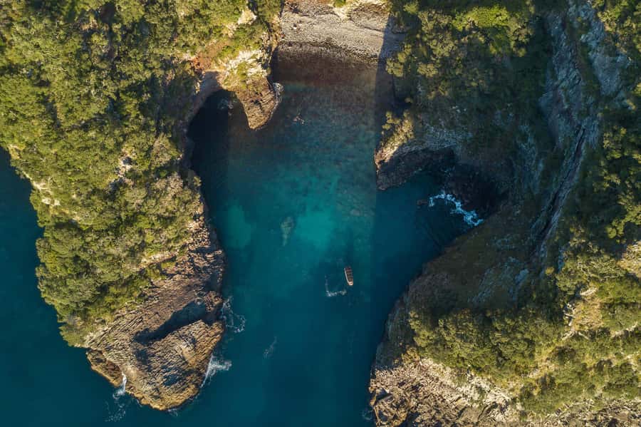 From Tairua: 2 Hour Cathedral Cove Tour with Local Guide - Te Whanganui a Hei Marine Reserve: protection you can actually see