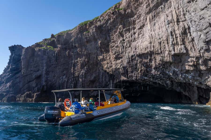 From Tairua: 2 Hour Cathedral Cove Tour with Local Guide - Orua Sea Cave and the Boat Harbour viewpoint