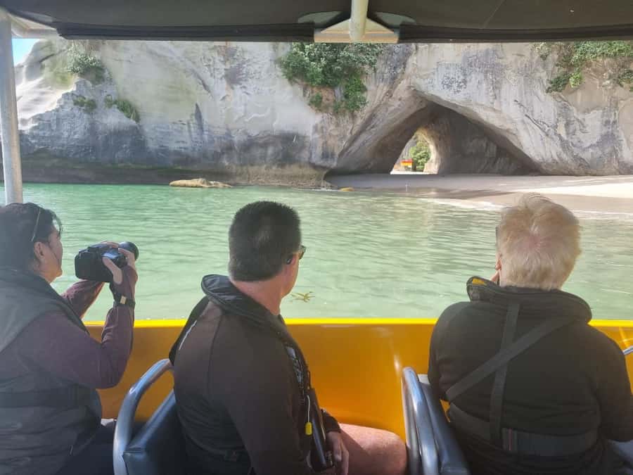 From Tairua: 2 Hour Cathedral Cove Tour with Local Guide - Price and value: is $83 for 2 hours worth it?