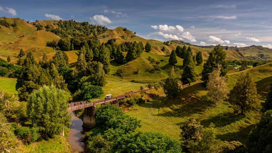 From Taumarunui: The Republic Rail Cart Adventure - Quick hits before you go