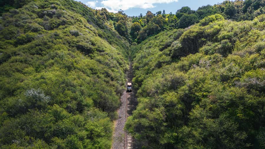 From Taumarunui: The Republic Rail Cart Adventure - Matiere morning tea: a historic settlement break that matters