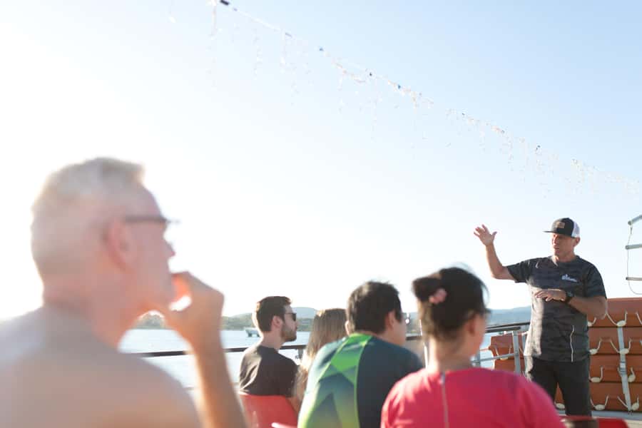 From Tauranga: Dolphin and Wildlife Cruise - What the timing looks like, and why you should build patience into your day