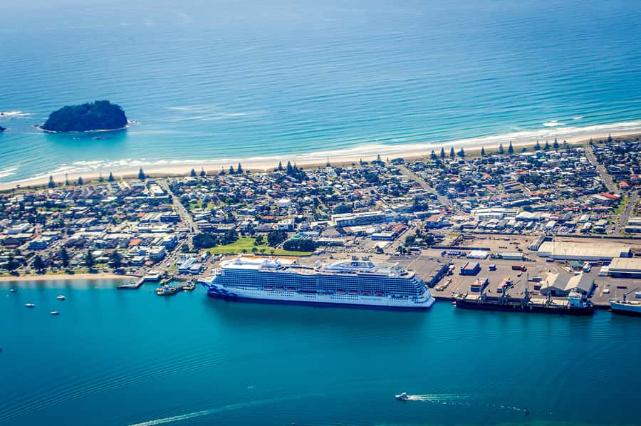 From Tauranga: Skydive over Mount Maunganui - Canopy Descent: The Part Where Your Brain Finally Breathes