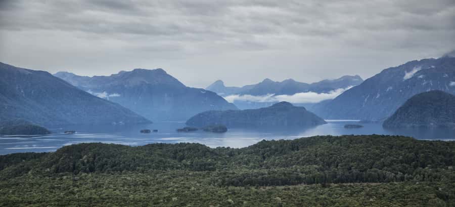 From Te Anau: Full Day Kepler Track Guided Heli-Hike - What the guides are doing right, and why it matters