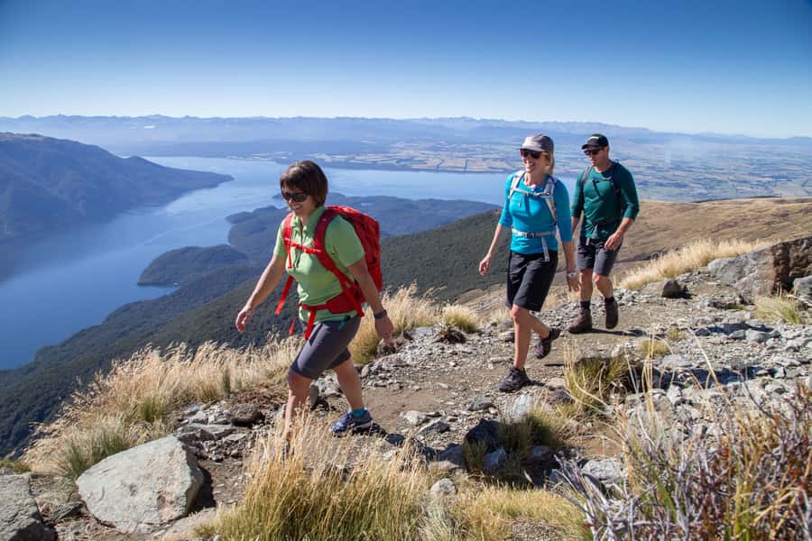 From Te Anau: Full Day Kepler Track Guided Heli-Hike - Kepler Track descent: silver beech, altitude shifts, and limestone drama