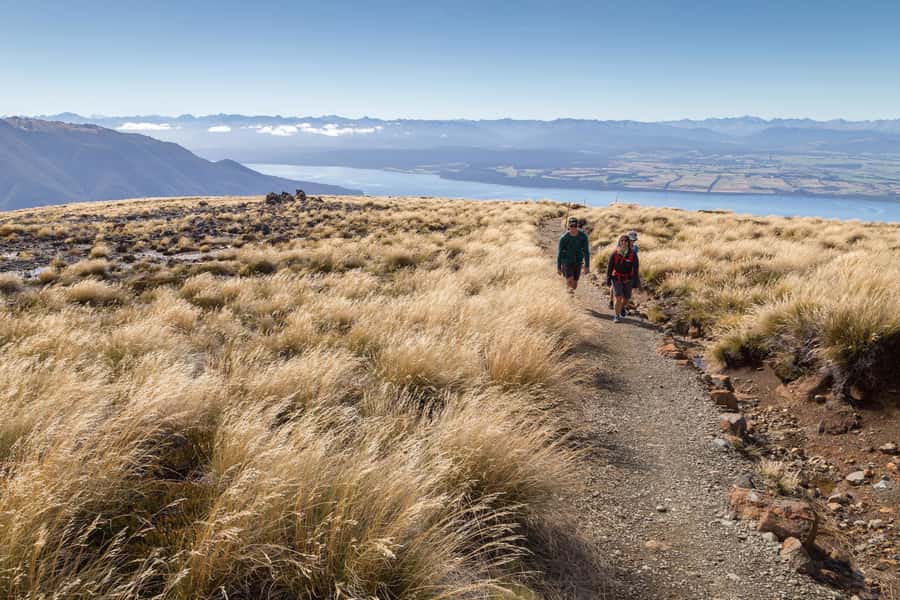 From Te Anau: Full Day Kepler Track Guided Heli-Hike - Te Anau pickup and the short transfer that keeps the day moving