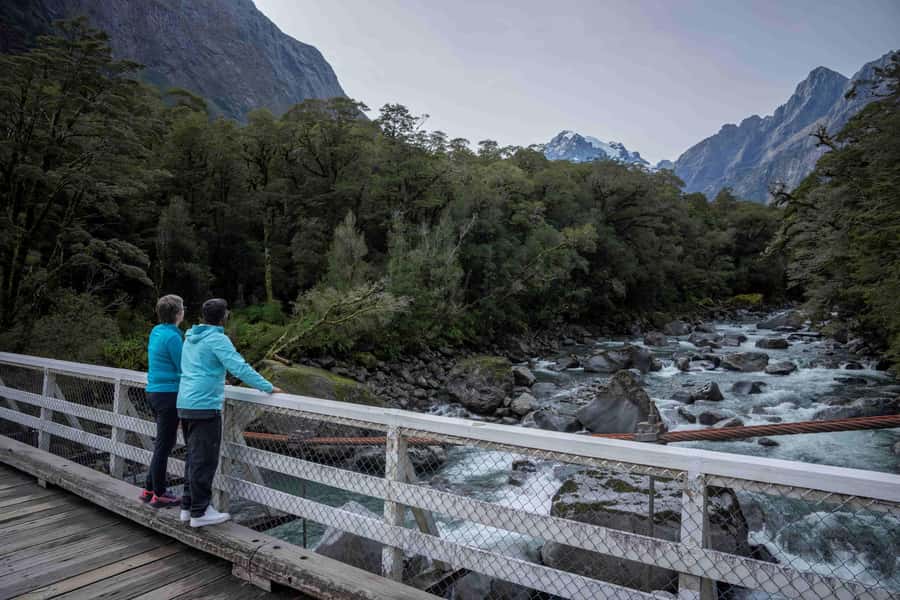 From Te Anau: Milford Sound Coach, Cruise, and Walks - Key moments that make this tour work