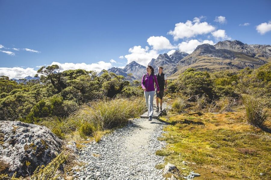 From Te Anau: Milford Sound Coach, Cruise, and Walks - Who should book this Milford Sound from Te Anau trip