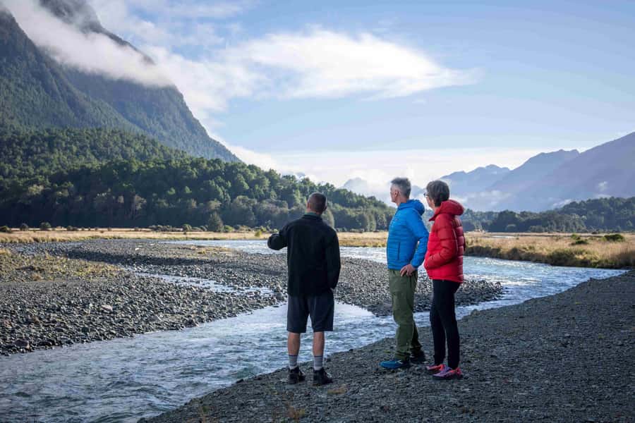 From Te Anau: Milford Sound Coach, Cruise, and Walks - The small-boat Milford Sound cruise, where the waterfalls do their best work