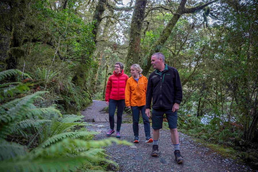 From Te Anau: Milford Sound Coach, Cruise, and Walks - Picnic lunch timing, and how it keeps the day relaxed