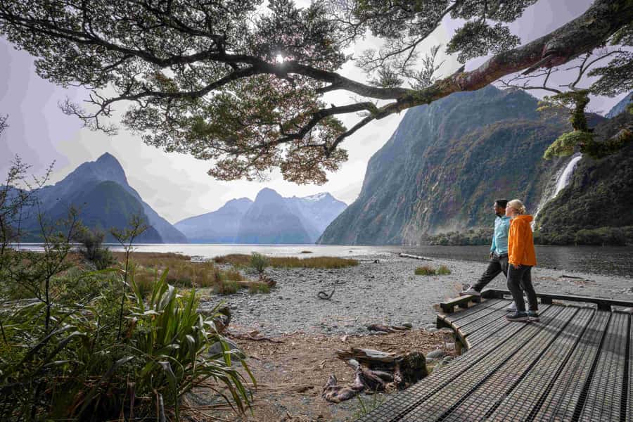 From Te Anau: Milford Sound Coach, Cruise, and Walks - Wildlife and nature talk, how guides like Ross and Geoff shape your day