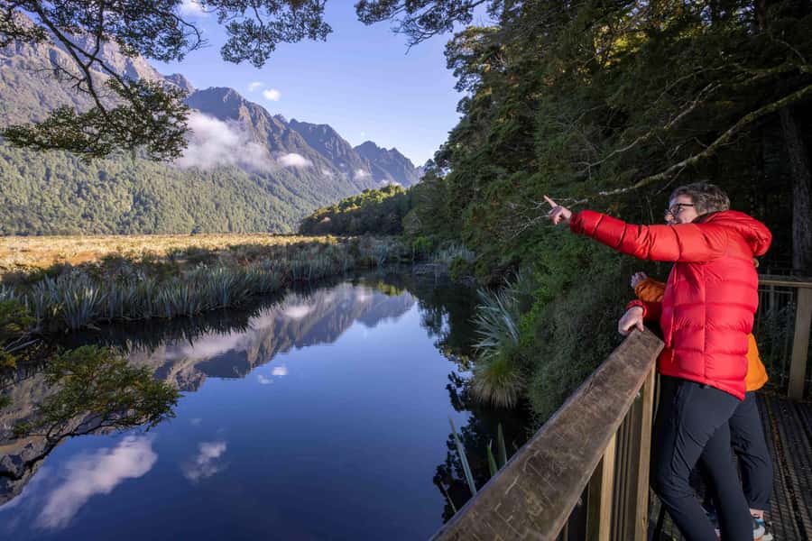 From Te Anau: Milford Sound Coach, Cruise, and Walks - Price and value: why this day costs $164, and what you get back