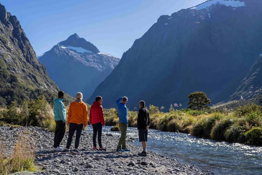 From Te Anau: Milford Sound Coach, Cruise, and Walks - The Milford Road drive feels like part of the show