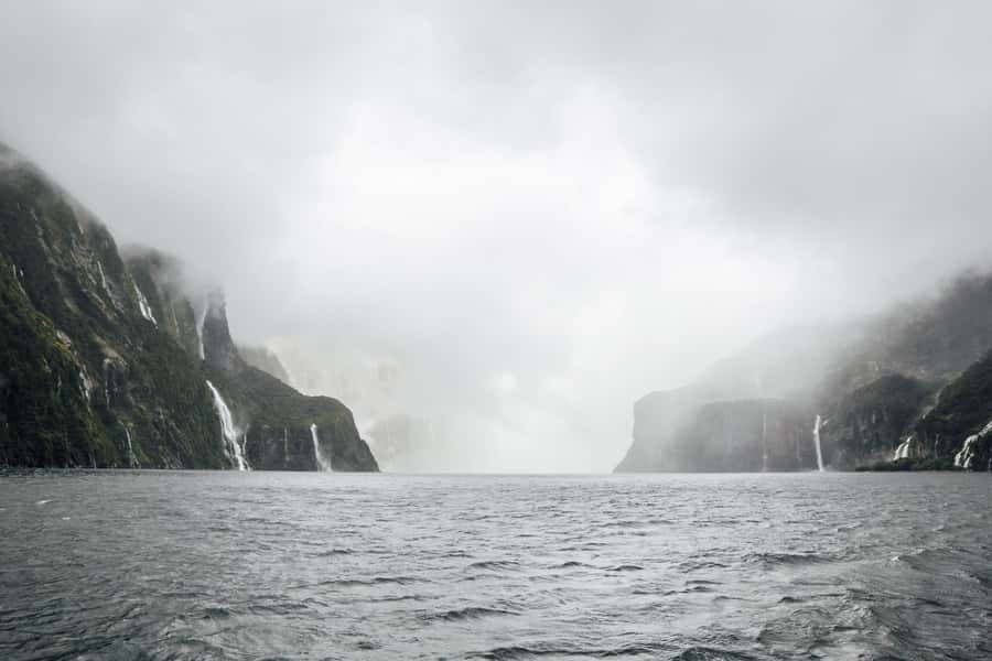 From Te Anau: Milford Sound Coach Tour and Cruise - The guide factor: how names you might hear add up to a better day
