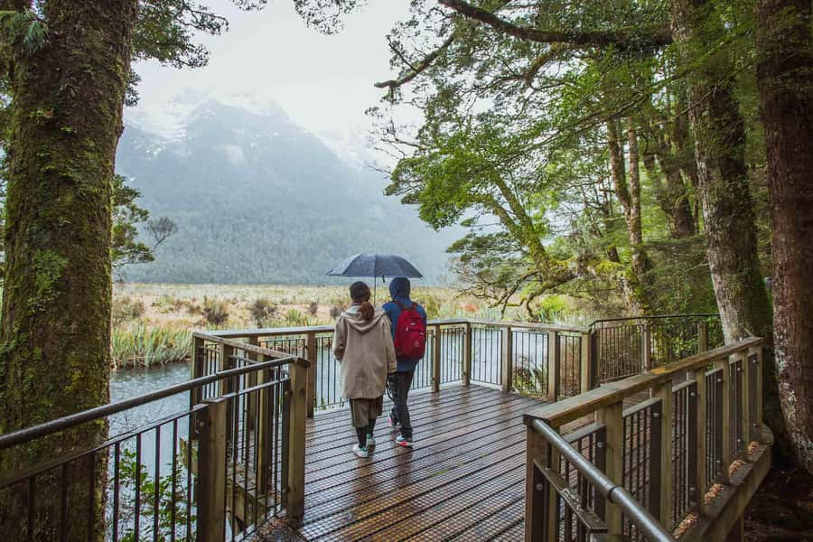 From Te Anau: Milford Sound Coach Tour and Cruise - Coach and catamaran day tour, minus the driving stress