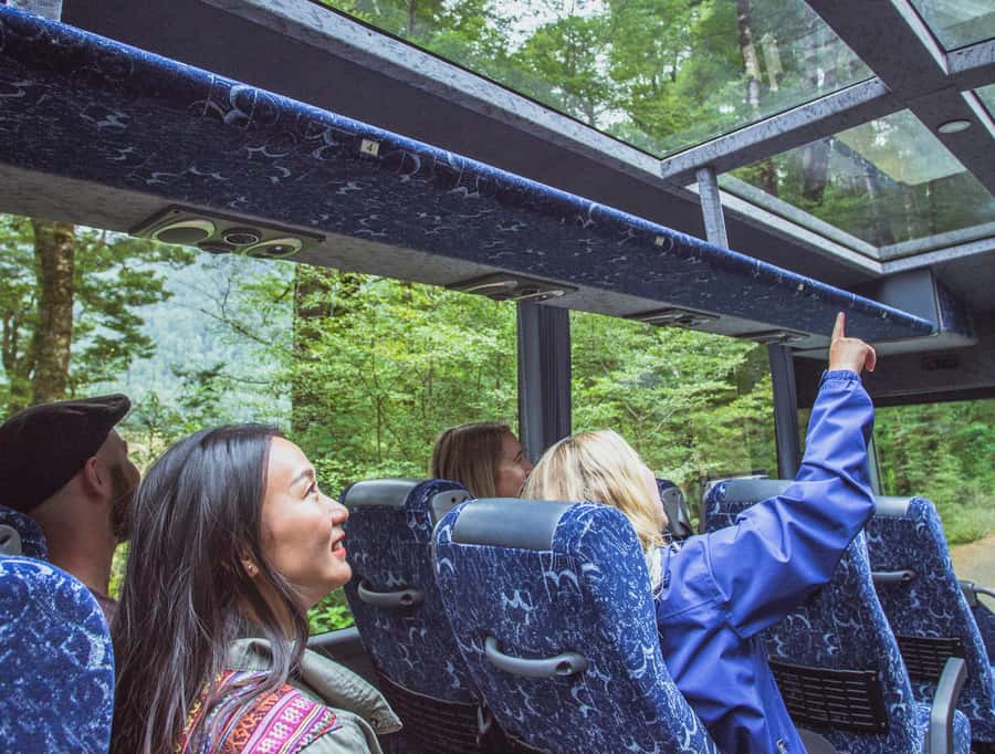 From Te Anau: Milford Sound Coach Tour and Cruise - Te Anau to Milford Sound: a drive that’s not just transit