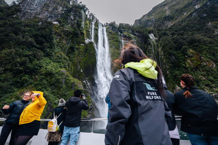 From Te Anau: Milford Sound Coach Tour and Cruise - Wildlife in Milford Sound: what you can hope for, and how to spot it