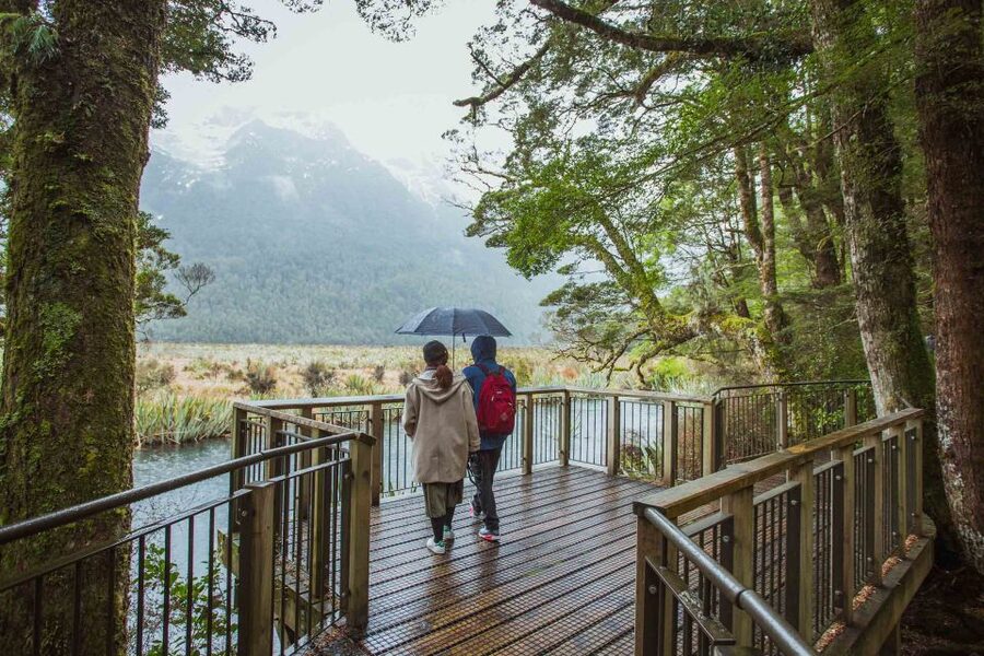 From Te Anau: Milford Sound Coach Tour and Cruise - Weather and waterfalls: why rain can be the best day