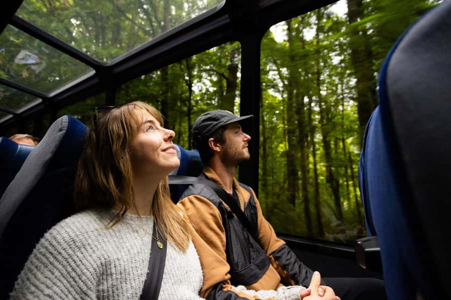 From Te Anau: Milford Sound Cruise and Coach Day Trip - The Milford Sound cruise, waterfalls up close and wildlife on watch