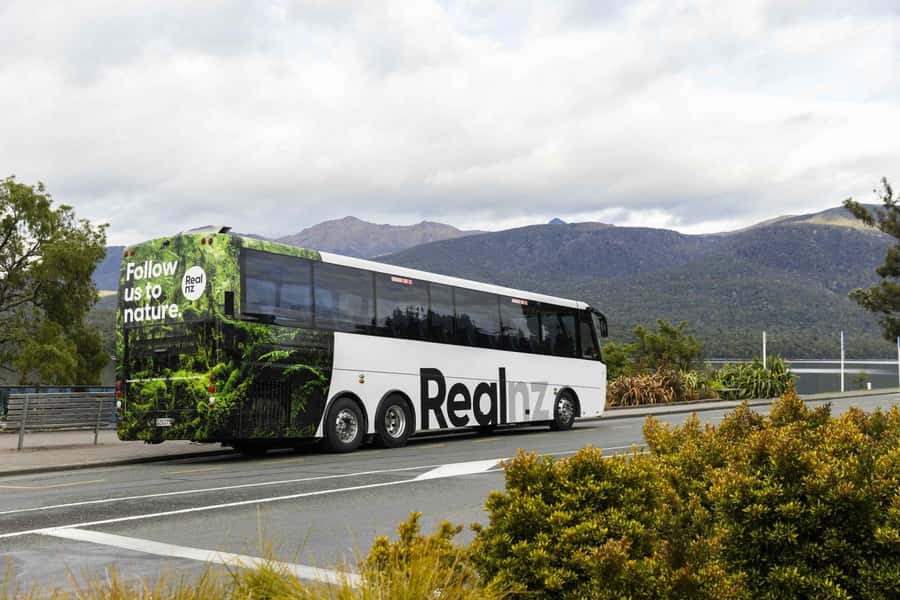 From Te Anau: Milford Sound Cruise and Coach Day Trip - FAQ