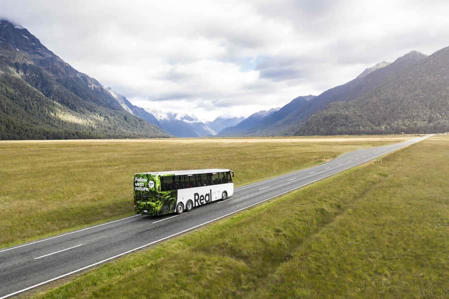 From Te Anau: Milford Sound Cruise and Coach Day Trip - Eglinton Valley, Mirror Lakes, and Monkey Creek stops that matter